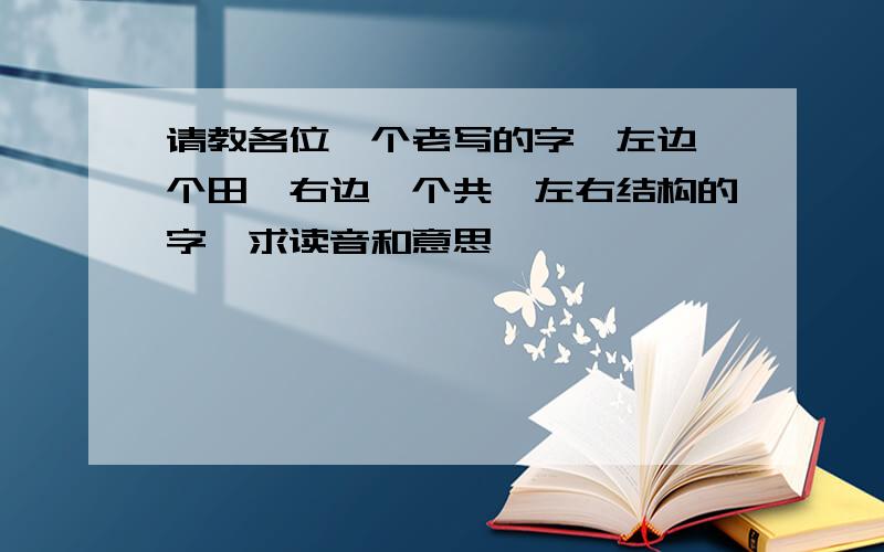 请教各位一个老写的字,左边一个田,右边一个共,左右结构的字,求读音和意思