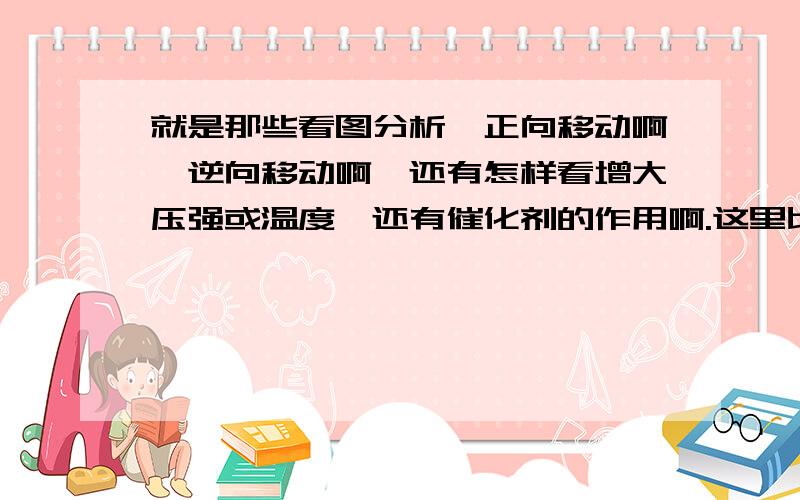 就是那些看图分析,正向移动啊、逆向移动啊,还有怎样看增大压强或温度,还有催化剂的作用啊.这里比较不清楚诶.