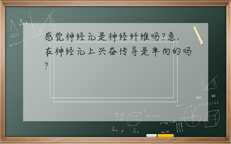 感觉神经元是神经纤维吗?急.在神经元上兴奋传导是单向的吗？