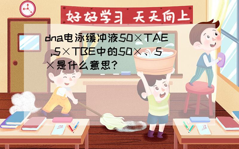 dna电泳缓冲液50×TAE ,5×TBE中的50×、5×是什么意思?