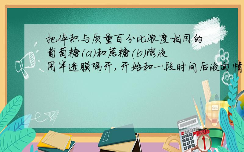 把体积与质量百分比浓度相同的葡萄糖（a)和蔗糖(b)溶液用半透膜隔开,开始和一段时间后液面情况为什么最终乙比甲高?而不是乙与甲液面相等