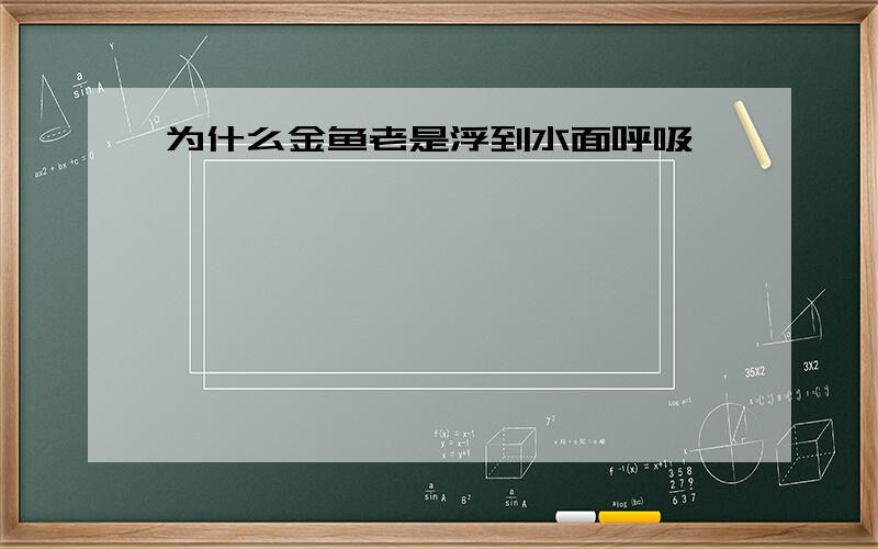 为什么金鱼老是浮到水面呼吸