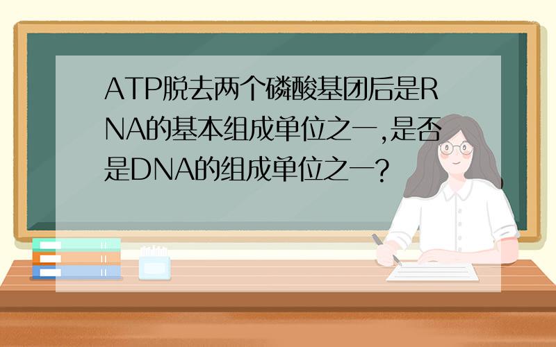 ATP脱去两个磷酸基团后是RNA的基本组成单位之一,是否是DNA的组成单位之一?