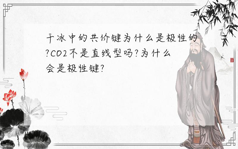 干冰中的共价键为什么是极性的?CO2不是直线型吗?为什么会是极性键?