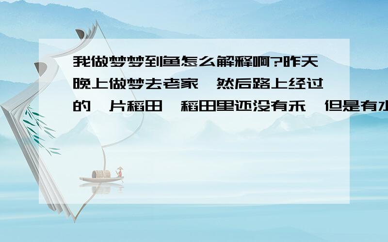 我做梦梦到鱼怎么解释啊?昨天晚上做梦去老家,然后路上经过的一片稻田,稻田里还没有禾,但是有水,我走的是中间一条很窄的泥巴路,不时的会打滑掉到稻田里,然后看到一条鱼在稻田里很灵活