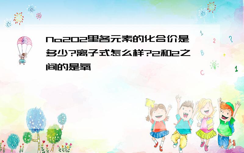 Na2O2里各元素的化合价是多少?离子式怎么样?2和2之间的是氧