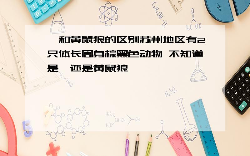 貂和黄鼠狼的区别苏州地区有2只体长周身棕黑色动物 不知道是貂还是黄鼠狼