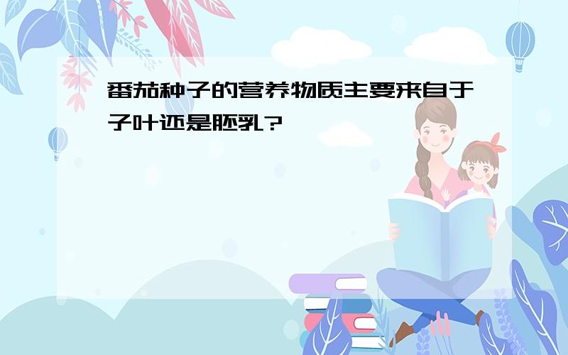 番茄种子的营养物质主要来自于子叶还是胚乳?