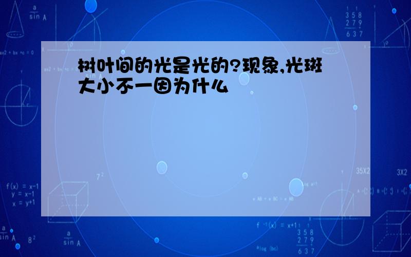 树叶间的光是光的?现象,光斑大小不一因为什么