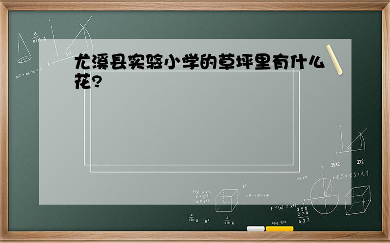 尤溪县实验小学的草坪里有什么花?