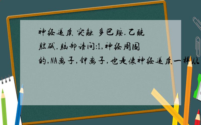 神经递质 突触 多巴胺.乙酰胆碱.脑部请问：1,神经周围的,NA离子,钾离子,也是像神经递质一样从那个突触分泌出来的?还是是脑组织液里的?2,俩根神经突触传导时,只能传递一种神经递质吗?比