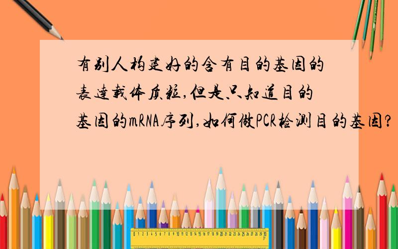 有别人构建好的含有目的基因的表达载体质粒,但是只知道目的基因的mRNA序列,如何做PCR检测目的基因?