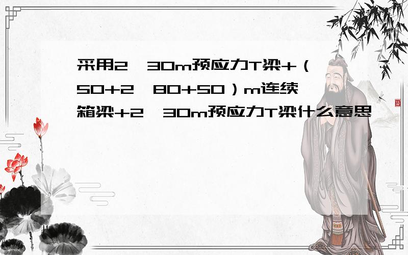 采用2×30m预应力T梁+（50+2×80+50）m连续箱梁+2×30m预应力T梁什么意思