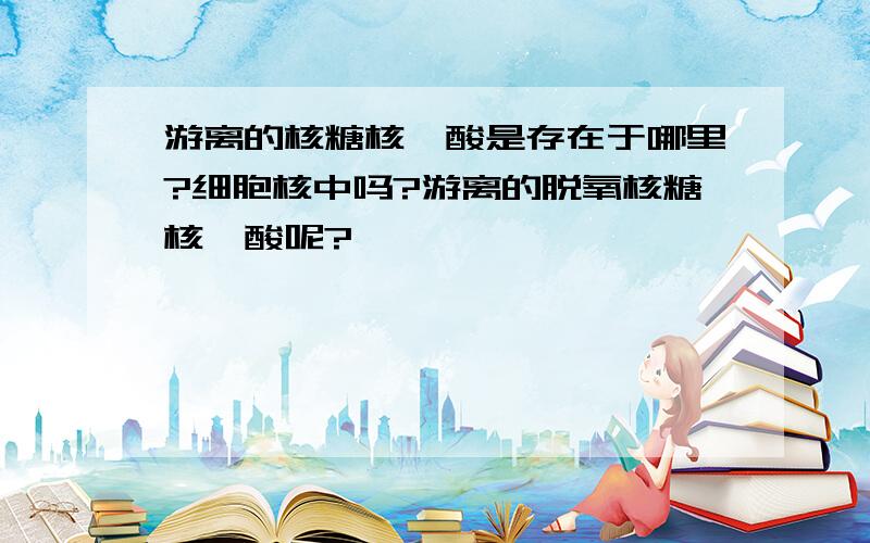 游离的核糖核苷酸是存在于哪里?细胞核中吗?游离的脱氧核糖核苷酸呢?