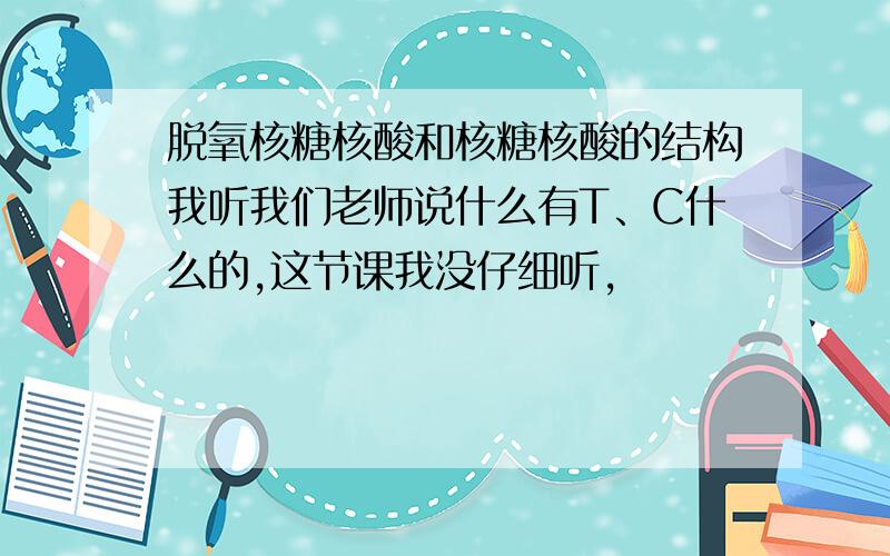 脱氧核糖核酸和核糖核酸的结构我听我们老师说什么有T、C什么的,这节课我没仔细听,