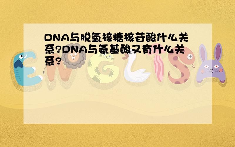 DNA与脱氧核糖核苷酸什么关系?DNA与氨基酸又有什么关系?