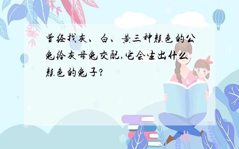 曾经找灰、白、黄三种颜色的公兔给灰母兔交配,它会生出什么颜色的兔子?