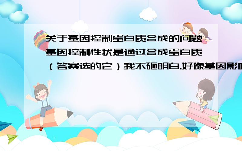 关于基因控制蛋白质合成的问题基因控制性状是通过合成蛋白质（答案选的它）我不砸明白.好像基因影响性状有两种方式 合成酶和直接合成蛋白质但是有些酶是RNA