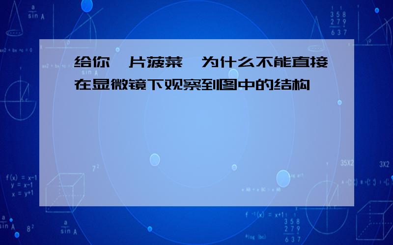 给你一片菠菜,为什么不能直接在显微镜下观察到图中的结构