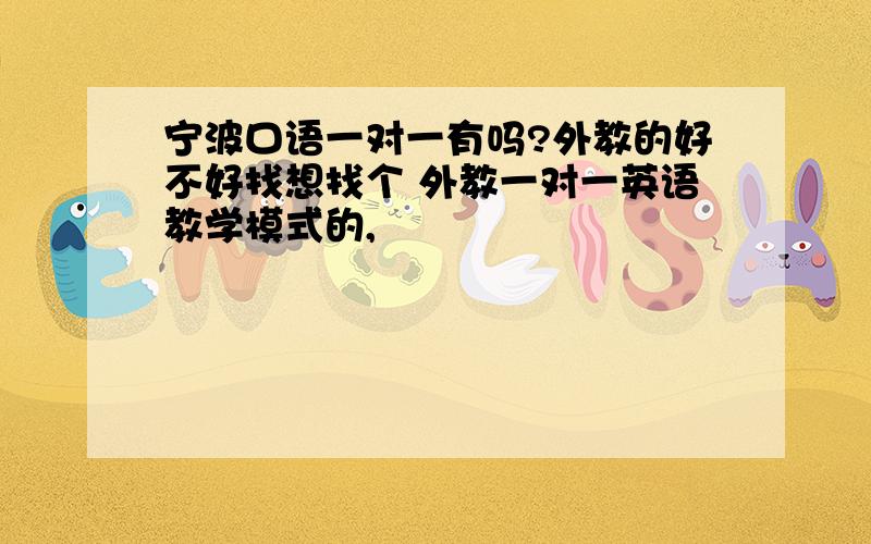 宁波口语一对一有吗?外教的好不好找想找个 外教一对一英语教学模式的,