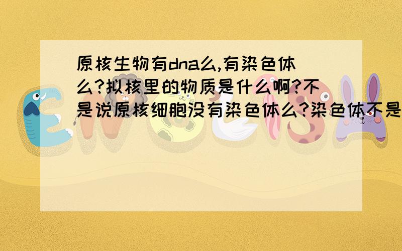 原核生物有dna么,有染色体么?拟核里的物质是什么啊?不是说原核细胞没有染色体么?染色体不是dna+蛋白质么?那就是说原核细胞没有染色体和dna咯?