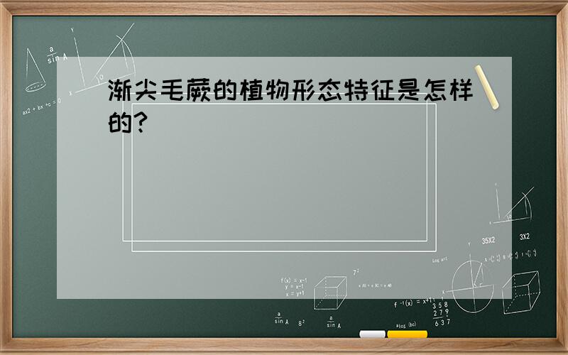 渐尖毛蕨的植物形态特征是怎样的?