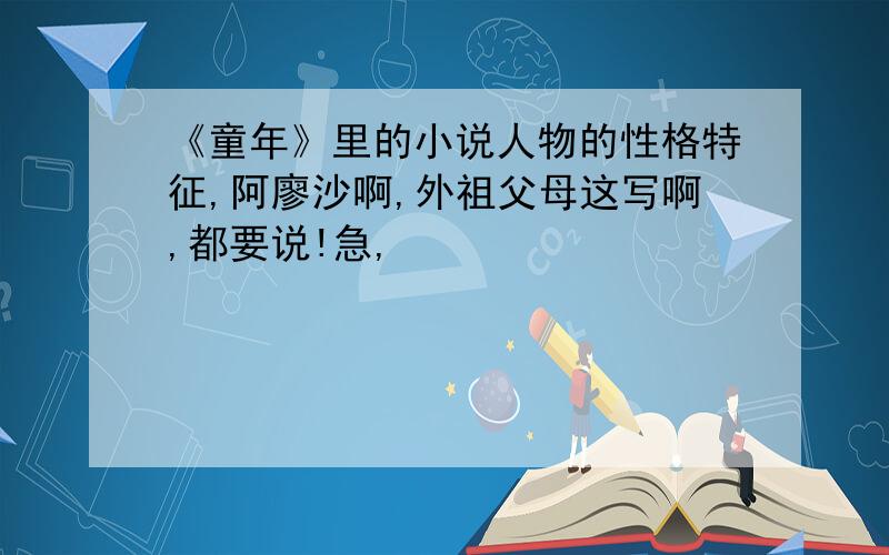 《童年》里的小说人物的性格特征,阿廖沙啊,外祖父母这写啊,都要说!急,