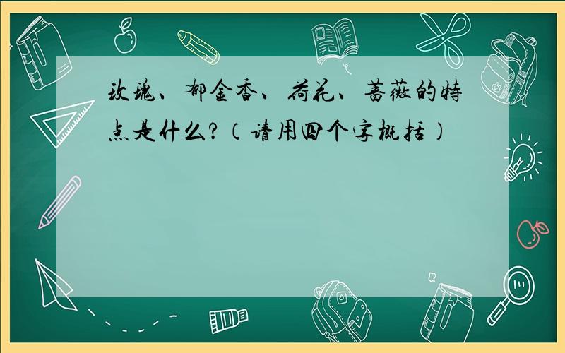 玫瑰、郁金香、荷花、蔷薇的特点是什么?（请用四个字概括）