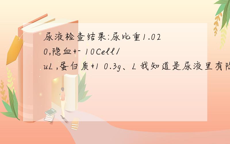 尿液检查结果:尿比重1.020,隐血+- 10Cell/uL ,蛋白质+1 0.3g、L 我知道是尿液里有隐血还有蛋白质，但是我想问问严重么？还有我感冒了，会不会是感冒影响的这检查结果！