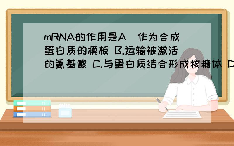 mRNA的作用是A．作为合成蛋白质的模板 B.运输被激活的氨基酸 C.与蛋白质结合形成核糖体 D.以上都不是