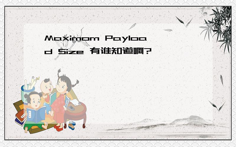 Maximom Payload Size 有谁知道啊?