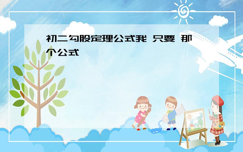 初二勾股定理公式我 只要 那个公式