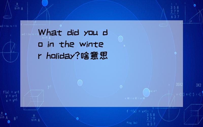 What did you do in the winter holiday?啥意思