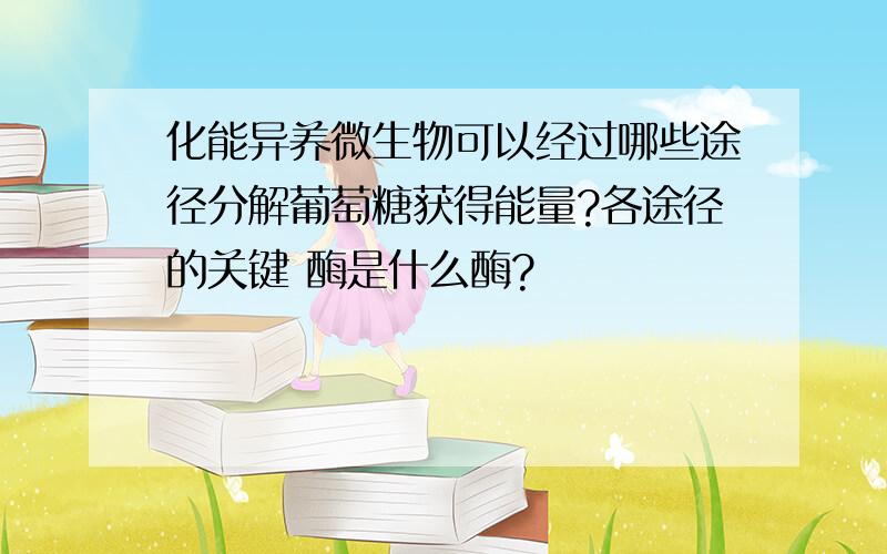 化能异养微生物可以经过哪些途径分解葡萄糖获得能量?各途径的关键 酶是什么酶?