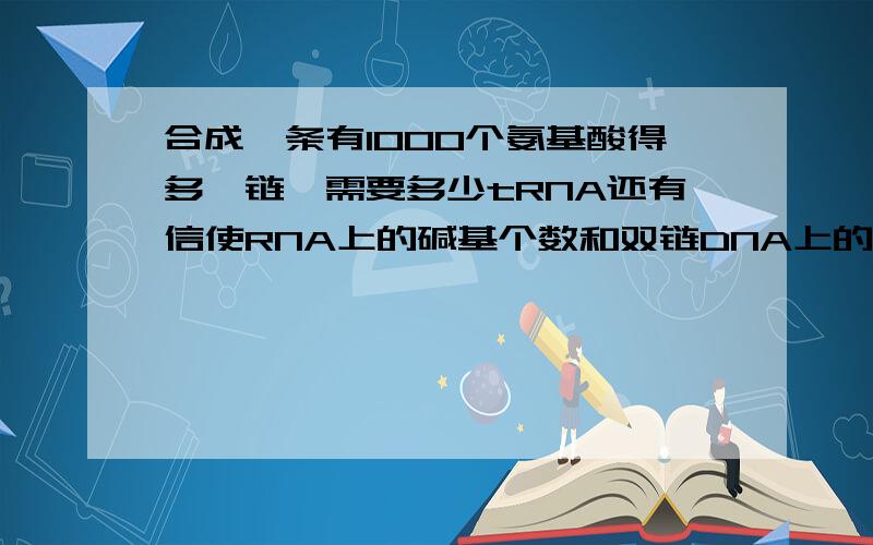 合成一条有1000个氨基酸得多肽链,需要多少tRNA还有信使RNA上的碱基个数和双链DNA上的碱基对数分别是多少