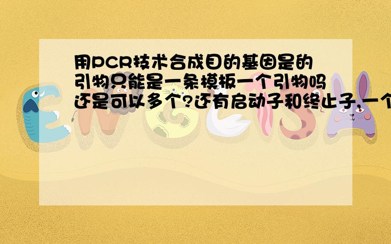 用PCR技术合成目的基因是的引物只能是一条模板一个引物吗还是可以多个?还有启动子和终止子,一个,还有启动子和终止子,一个目的基因是有固定的启动子终止子还是共用的启动子终止子