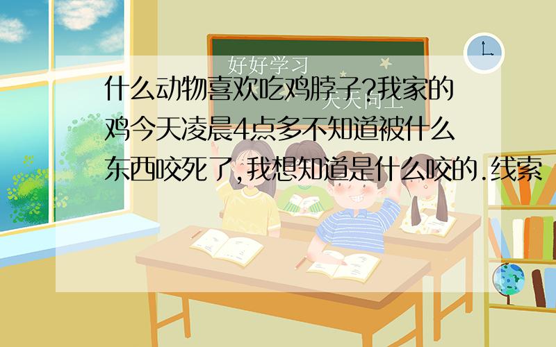 什么动物喜欢吃鸡脖子?我家的鸡今天凌晨4点多不知道被什么东西咬死了,我想知道是什么咬的.线索（那个东西只吃鸡头和鸡脖子,别的都不吃,鸡的翅膀和脚的骨头都出臼了,血没有在鸡体内,