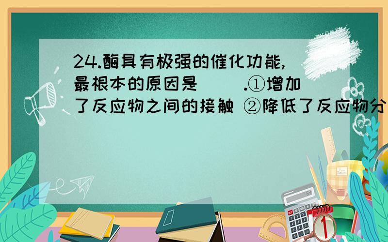 24.酶具有极强的催化功能,最根本的原因是（ ）.①增加了反应物之间的接触 ②降低了反应物分子的活化能 ③提高了反应物分子中的活化能 ④降低了反应物分子的自由能⑤本身数量和性质不