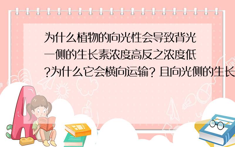 为什么植物的向光性会导致背光一侧的生长素浓度高反之浓度低?为什么它会横向运输？且向光侧的生长素向背光侧转移呢？