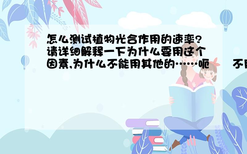 怎么测试植物光合作用的速率?请详细解释一下为什么要用这个因素,为什么不能用其他的……呃⋯⋯不用氧气测试是因为呼吸作用影响那请问一下为什么不能用生成物 碳水化合物测试