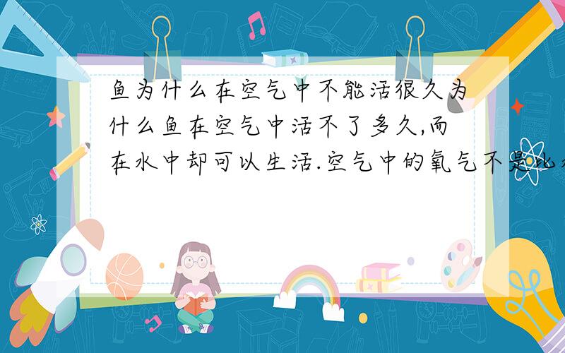 鱼为什么在空气中不能活很久为什么鱼在空气中活不了多久,而在水中却可以生活.空气中的氧气不是比水里的多吗?为什么啊