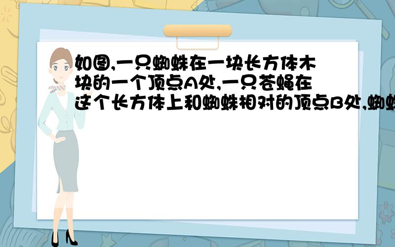 如图,一只蜘蛛在一块长方体木块的一个顶点A处,一只苍蝇在这个长方体上和蜘蛛相对的顶点B处,蜘蛛急于捉住苍蝇,沿着长方体表面向上爬,它要从A点爬到B点,有无数条路,它们有长有短,蜘蛛沿