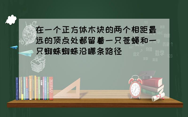 在一个正方体木块的两个相距最远的顶点处都留着一只苍蝇和一只蜘蛛蜘蛛沿哪条路径