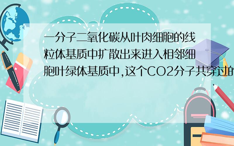 一分子二氧化碳从叶肉细胞的线粒体基质中扩散出来进入相邻细胞叶绿体基质中,这个CO2分子共穿过的膜的层数如题,答案为6我知道线粒体和叶绿体有2层膜,共4层,老师说还会经过2层细胞膜,这2