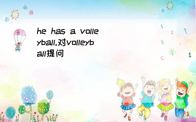 he has a volleyball.对volleyball提问