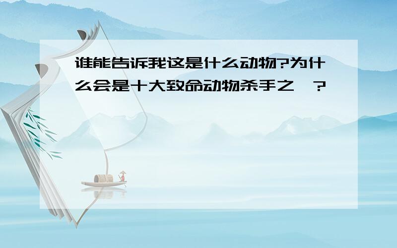 谁能告诉我这是什么动物?为什么会是十大致命动物杀手之一?