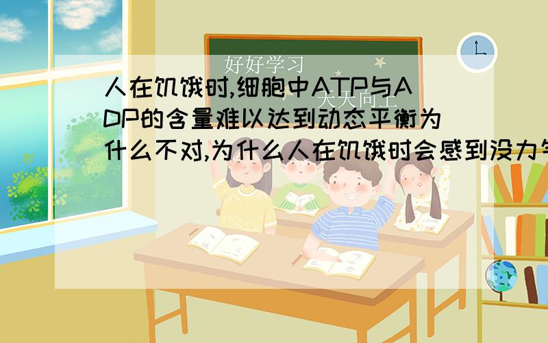 人在饥饿时,细胞中ATP与ADP的含量难以达到动态平衡为什么不对,为什么人在饥饿时会感到没力气,缺乏能量难道不是ATP缺乏的缘故吗