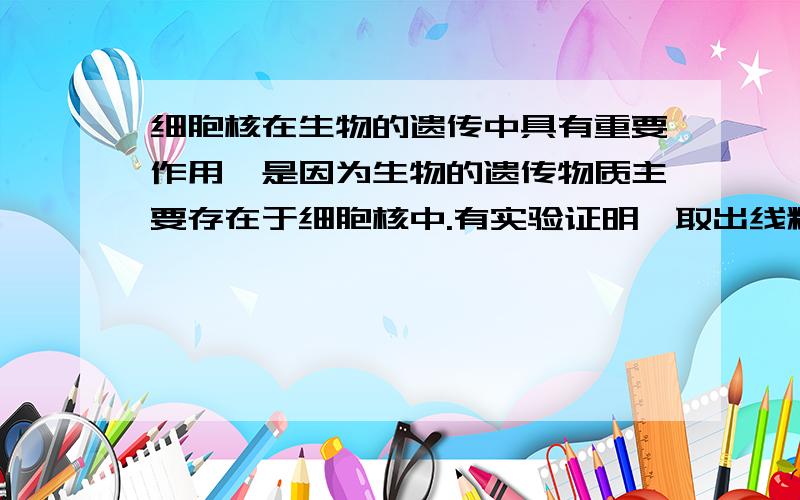 细胞核在生物的遗传中具有重要作用,是因为生物的遗传物质主要存在于细胞核中.有实验证明,取出线粒体后也能改变生物体细胞的某些特征(如抗药性).这说明什么? （不要长篇大论的,就直接