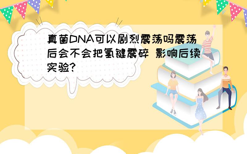 真菌DNA可以剧烈震荡吗震荡后会不会把氢键震碎 影响后续实验?