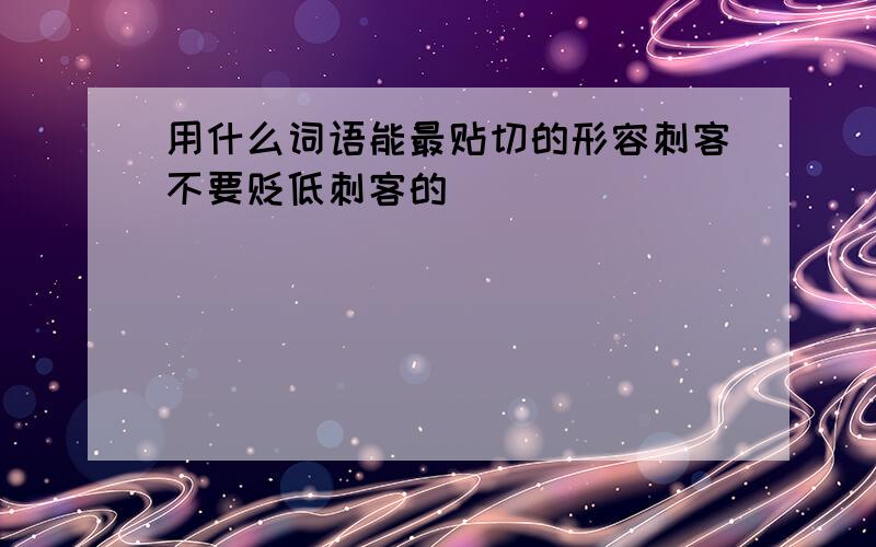 用什么词语能最贴切的形容刺客不要贬低刺客的